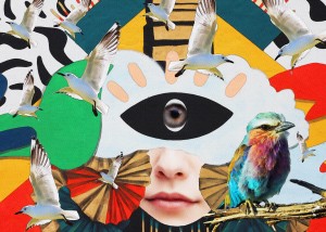 im like eye bird
